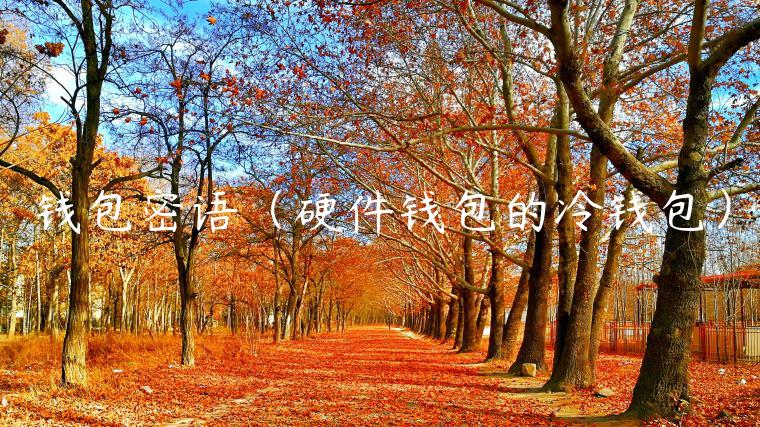 钱包密语(硬件钱包的冷钱包) 钱包密语(硬件钱包的冷钱包)