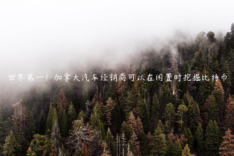 世界第一!加拿大汽车经销商可以在闲置时挖掘比特币 世界第一!加拿大汽车经销商可以在闲置时挖掘比特币