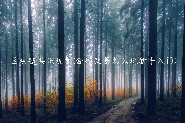 区块链共识机制(合约交易怎么玩新手入门) 区块链共识机制(合约交易怎么玩新手入门)