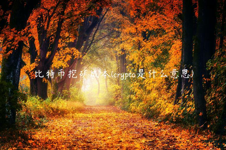 比特币挖矿成本(crypto是什么意思)