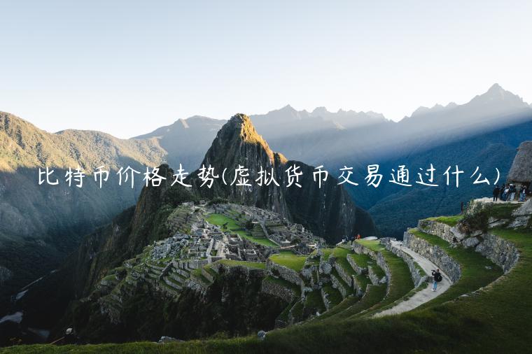 比特币价格走势(虚拟货币交易通过什么)