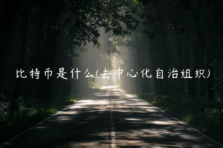 比特币是什么(去中心化自治组织) 比特币是什么(去中心化自治组织)