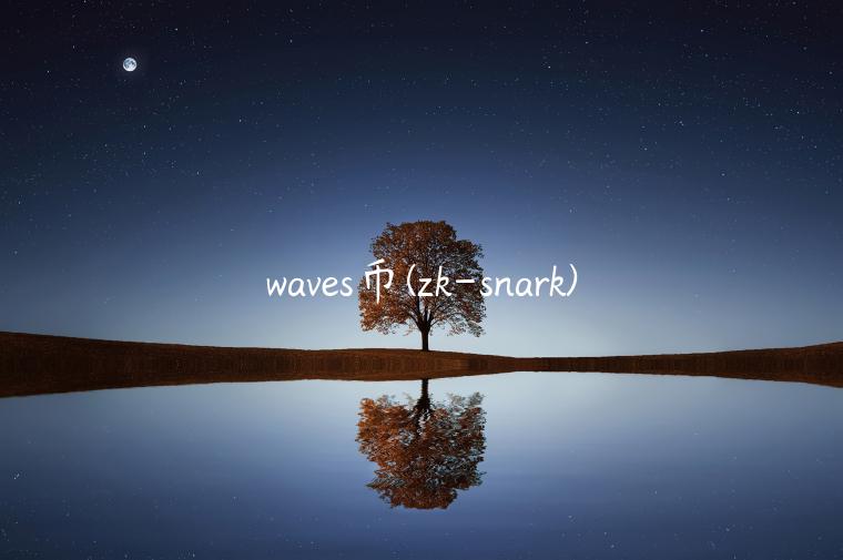 waves币(zk-snark) waves币(zk-snark)