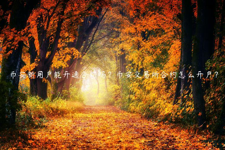 币安新用户能开通合约吗?币安交易所合约怎么开户? 币安新用户能开通合约吗?币安交易所合约怎么开户?
