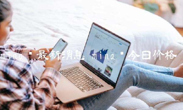 mina币最新消息 mina币今日价格