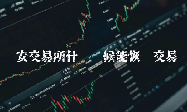 币安交易所什么时候能恢复交易 币安交易所什么时候能恢复交易