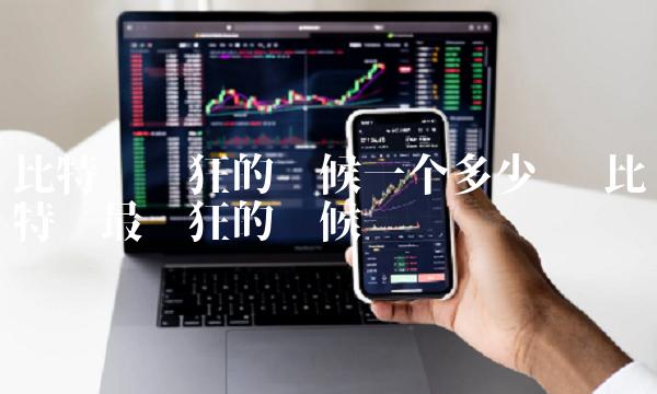 比特币疯狂的时候一个多少钱 比特币最疯狂的时候 比特币疯狂的时候一个多少钱 比特币最疯狂的时候