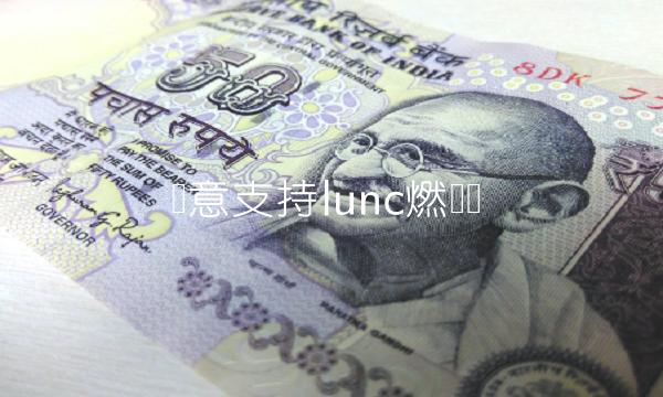 欧意支持lunc燃烧吗 欧意支持lunc燃烧吗