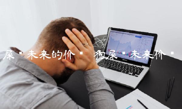 屎币未来的价值 狗屎币未来价值