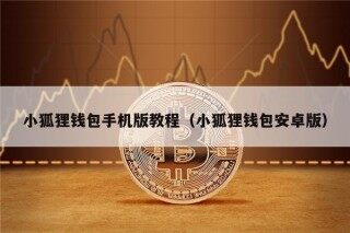 小狐狸钱包手机版教程（小狐狸钱包安卓版）