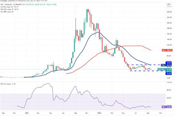 sol币今日最新价格 索拉纳币最新行情消息-第2张图片-欧意下载 sol币今日最新价格 索拉纳币最新行情消息-第2张图片-欧意下载