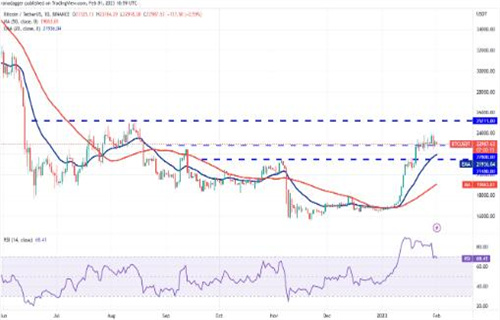 比特币最新价格行情 BTC今日最新价格-第3张图片-欧意下载 比特币最新价格行情 BTC今日最新价格-第3张图片-欧意下载