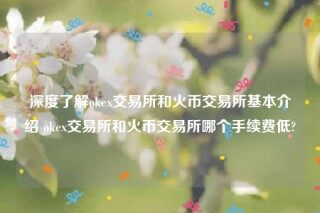 欧意下载最新官方app-深度了解ok交易所和火币交易所基本介绍 ok交易所和火币交易所哪个手续费低
