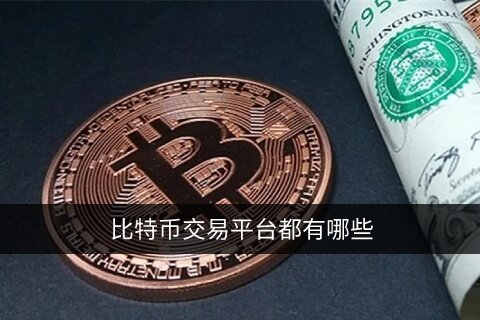 比特币交易平台都有哪些 怎么买比特币一文看懂!-第1张图片-欧意下载 比特币交易平台都有哪些 怎么买比特币一文看懂!-第1张图片-欧意下载