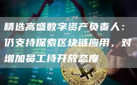 精选高盛数字资产负责人:仍支持探索区块链应用,对增加员工持开放态度1