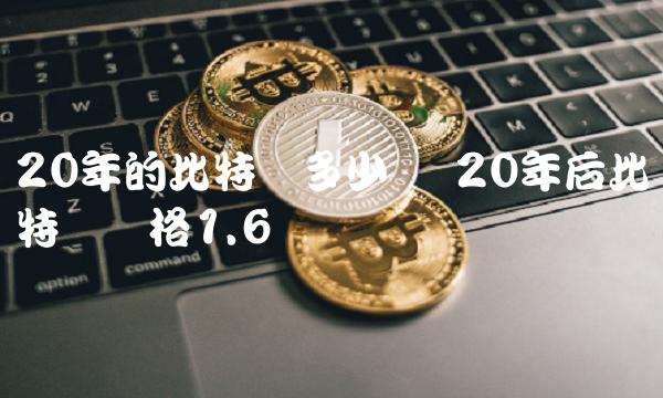 20年后比特币价格1.6亿-第1张图片-欧意下载