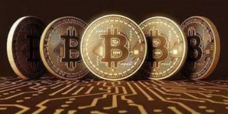 F币今天的价格是多少