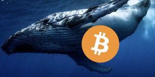 砸盘？沉睡九年巨鲸1周内转出1.5万枚比特币 部分流向BIAN、Krakn