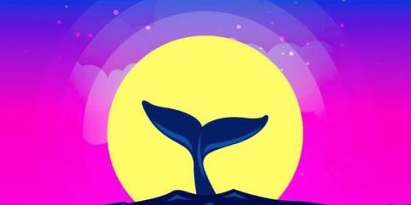 比特币交易投资软件榜单 数字货币交易平台app盘点-第1张图片-欧意下载