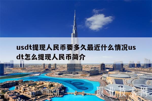 usdt提现人民币要多久最近什么情况usdt怎么提现人民币简介