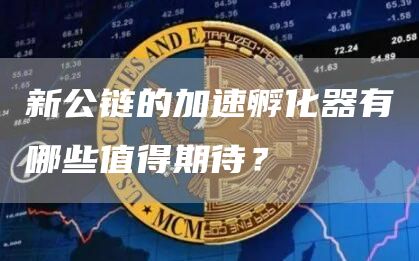 新公链的加速孵化器有哪些值得期待?1