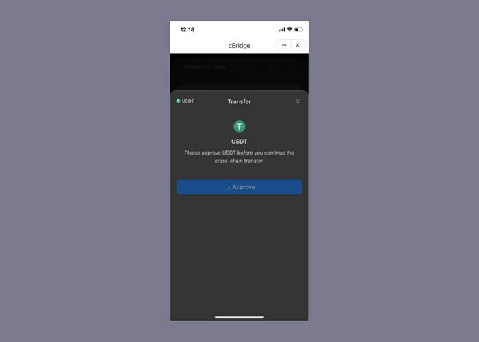如何在imToken钱包使用cBridge跨链桥?cBridge资产跨链操作步骤教程-第2张图片-欧意下载 如何在imToken钱包使用cBridge跨链桥?cBridge资产跨链操作步骤教程-第2张图片-欧意下载