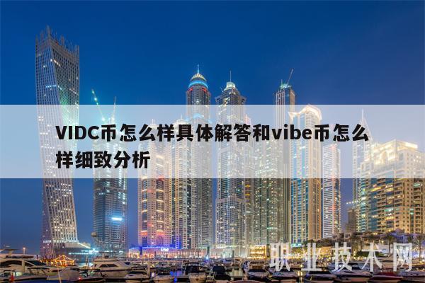 VIDC币怎么样具体解答和vibe币怎么样细致分析