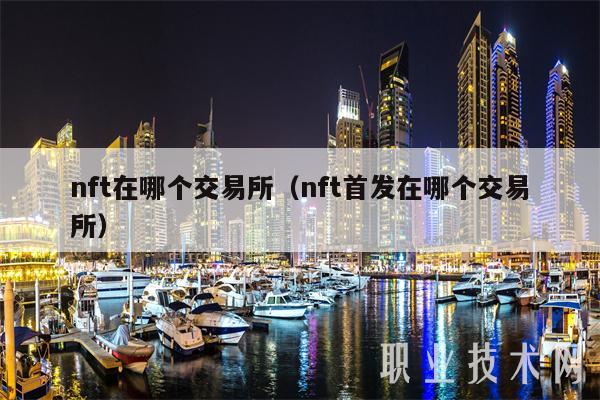 nft在哪个交易所(nft首发在哪个交易所)