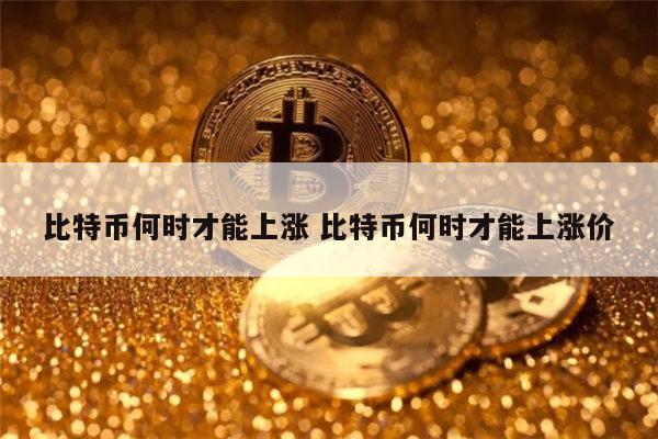 比特币何时才能上涨 比特币何时才能上涨价 第1张