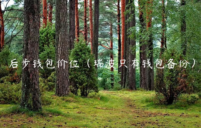 后步钱包价位(瑞波只有钱包备份)-第1张图片-欧意下载 后步钱包价位(瑞波只有钱包备份)-第1张图片-欧意下载