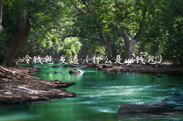 冷钱包 发送(什么是spv钱包)-第1张图片-欧意下载 冷钱包 发送(什么是spv钱包)-第1张图片-欧意下载