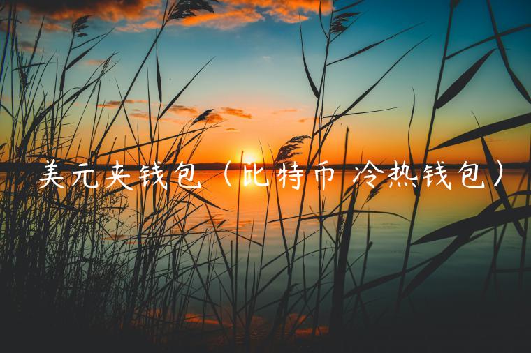 美元夹钱包（比特币 冷热钱包）-第1张图片-欧意下载