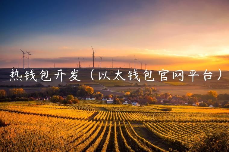 热钱包开发(以太钱包官网平台)-第1张图片-欧意下载 热钱包开发(以太钱包官网平台)-第1张图片-欧意下载