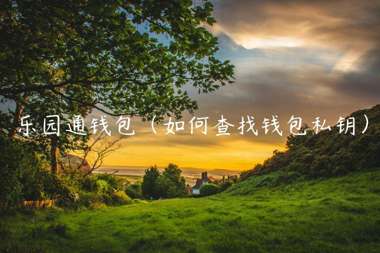 乐园通钱包(如何查找钱包私钥)-第1张图片-欧意下载 乐园通钱包(如何查找钱包私钥)-第1张图片-欧意下载