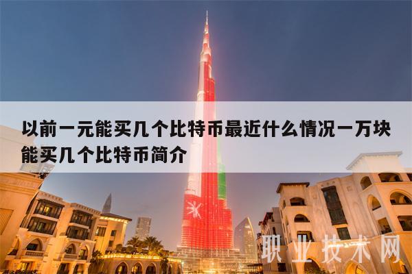 以前一元能买几个比特币最近什么情况一万块能买几个比特币简介