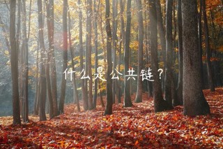 什么是公共链？