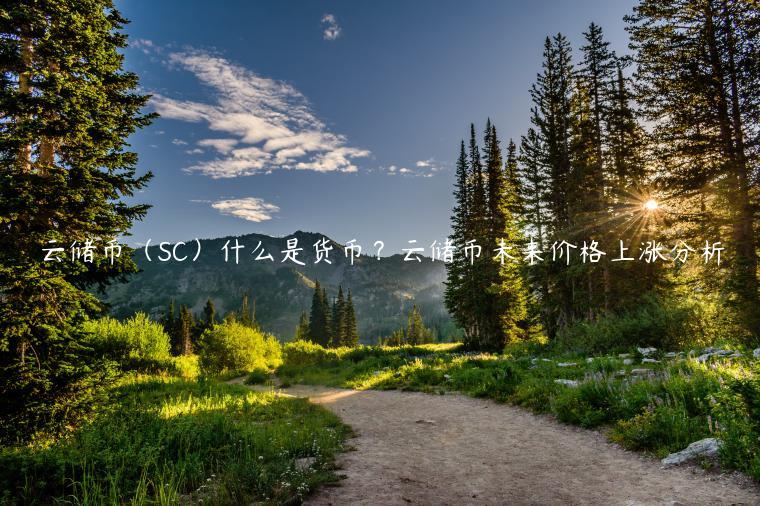 云储币(SC)什么是货币?云储币未来价格上涨分析-第1张图片-欧意下载 云储币(SC)什么是货币?云储币未来价格上涨分析-第1张图片-欧意下载
