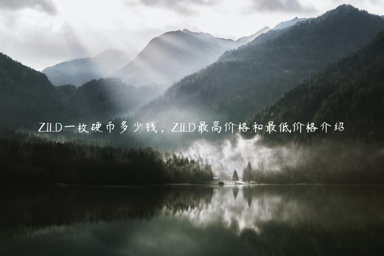 ZILD一枚硬币多少钱，ZILD最高价格和最低价格介绍-第1张图片-欧意下载