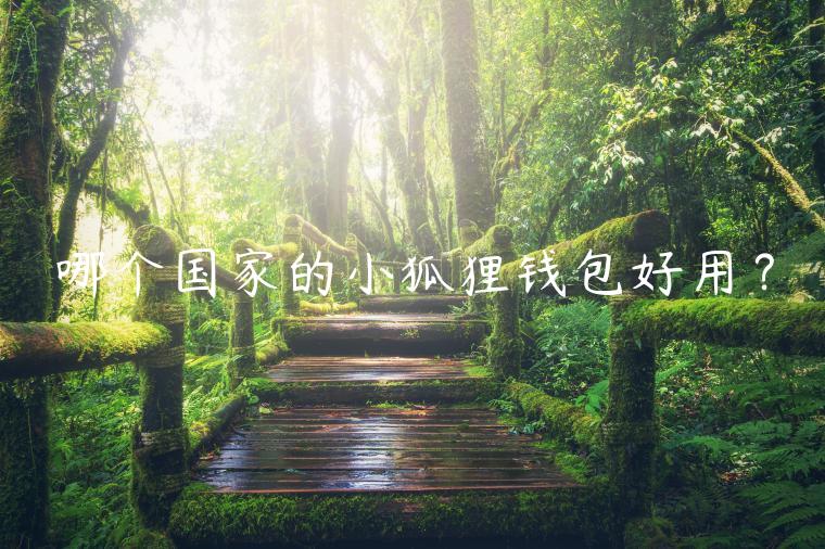 哪个国家的小狐狸钱包好用?-第1张图片-欧意下载 哪个国家的小狐狸钱包好用?-第1张图片-欧意下载