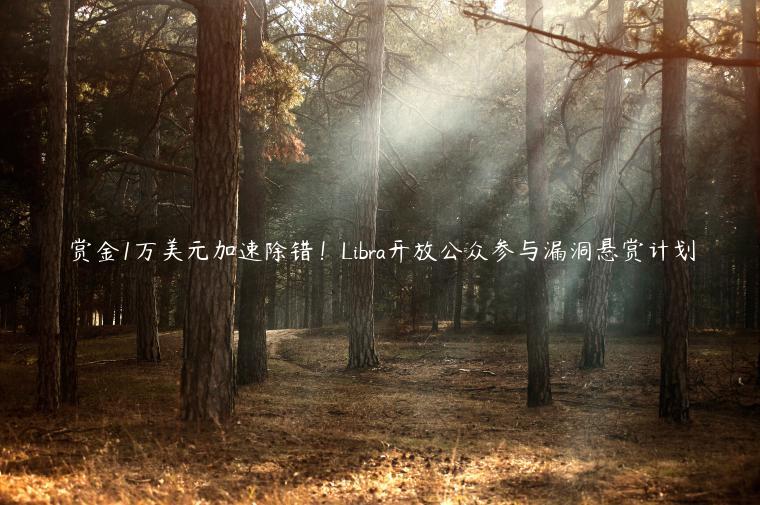 赏金1万美元加速除错！Libra开放公众参与漏洞悬赏计划-第1张图片-欧意下载