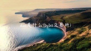 dao是什么 - bybit交易平台