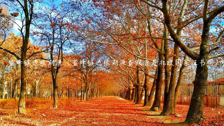 蜜蜂链追根溯源(蜜蜂链追根溯源查假货是北欧国家证书吗)-第1张图片-欧意下载 蜜蜂链追根溯源(蜜蜂链追根溯源查假货是北欧国家证书吗)-第1张图片-欧意下载