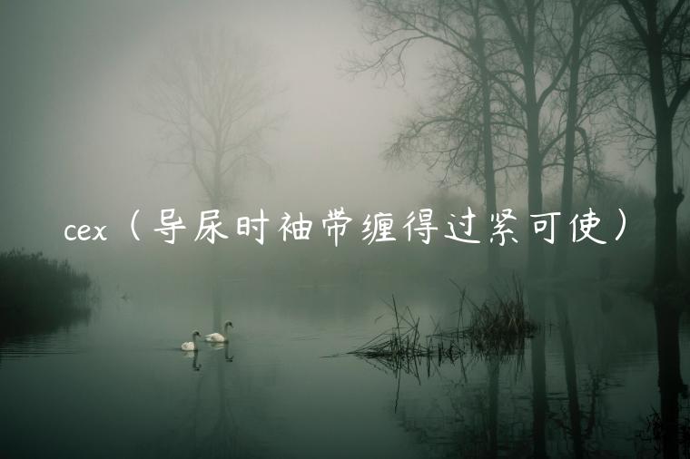 c（导尿时袖带缠得过紧可使）-第1张图片-欧意下载