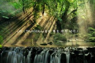 q网（TNUMBRcom自称 男生 绰号 动听）