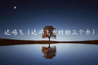 达鸿飞（达鸿飞看好的三个币）