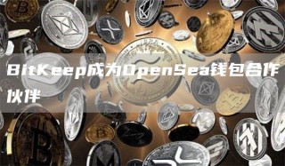 BitKp成为OpnSa钱包合作伙伴