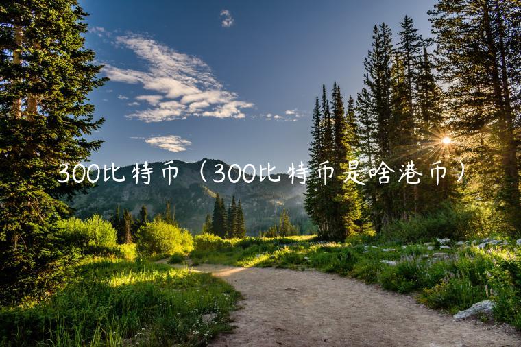 300比特币（300比特币是啥港币）-第1张图片-欧意下载