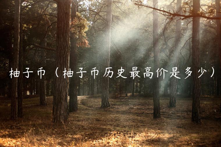 柚子币(柚子币历史最高价是多少)-第1张图片-欧意下载 柚子币(柚子币历史最高价是多少)-第1张图片-欧意下载