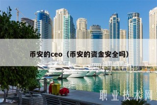 BIAN的co（BIAN的资金安全吗