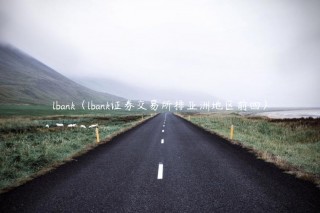 lbank（lbank证券交易平台排亚洲地区前四）